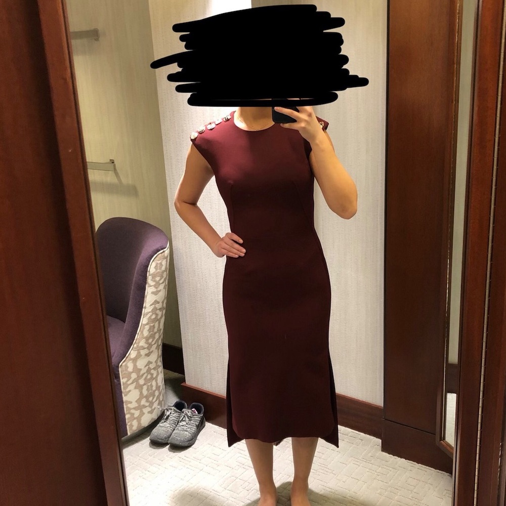 Alexander McQueen Carmine Bug Sheath Dress size 38